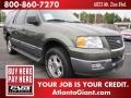 Estate Green Metallic - Expedition XLT Photo No. 4