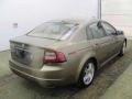 2008 Bold Beige Metallic Acura TL 3.2  photo #3