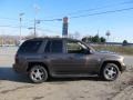 Desert Brown Metallic - TrailBlazer LT 4x4 Photo No. 5