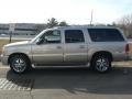 Quicksilver - Escalade ESV AWD Photo No. 4