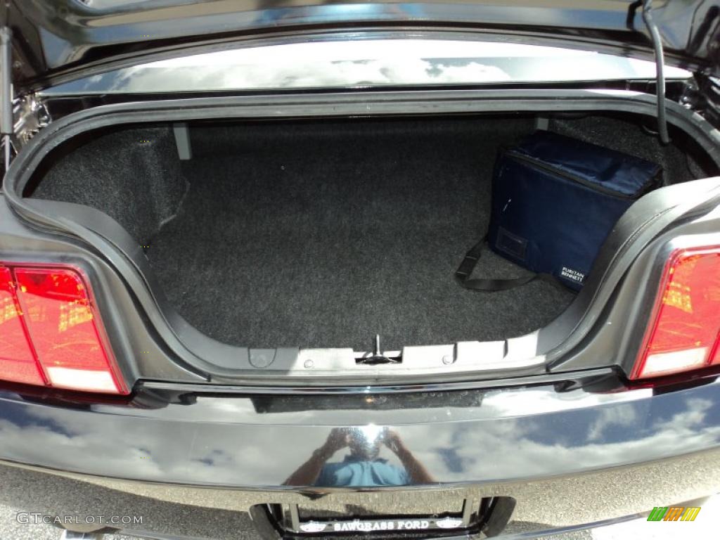2008 Ford Mustang GT Premium Coupe Trunk Photo #46081220