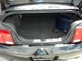 Light Graphite Trunk Photo for 2008 Ford Mustang #46081220