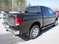 Galaxy Black - Titan SV Heavy Metal Chrome Edition Crew Cab 4x4 Photo No. 5