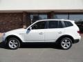 Alpine White - X3 3.0si Photo No. 3