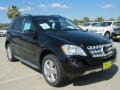 Black - ML 350 Photo No. 1