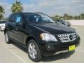 Black - ML 350 Photo No. 1