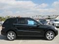 Black - ML 350 Photo No. 2