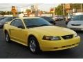 Zinc Yellow - Mustang V6 Coupe Photo No. 6