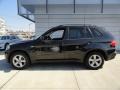 2008 Black Sapphire Metallic BMW X5 3.0si  photo #3