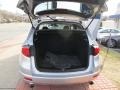 Alabaster Silver Metallic - RDX Technology Photo No. 24