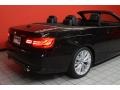 Jet Black - 3 Series 335i Convertible Photo No. 3