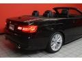 2011 Jet Black BMW 3 Series 335i Convertible  photo #3