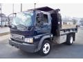 Front 3/4 View of 2007 LCF Truck L55 Commercial Dump Truck