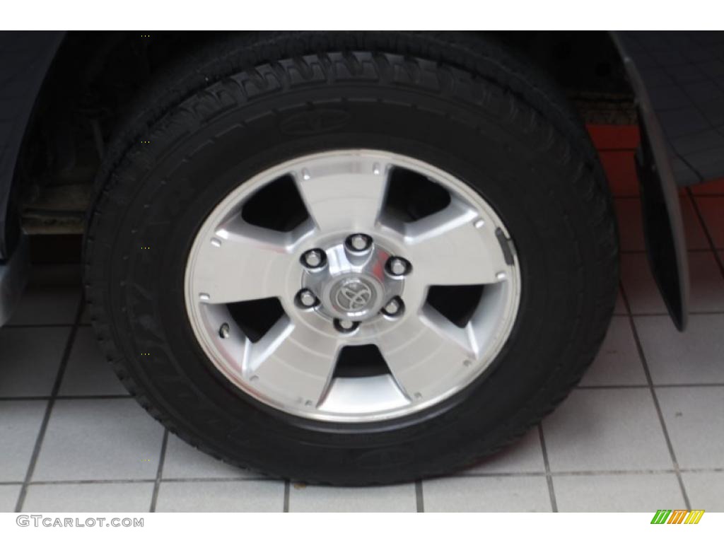 2004 4Runner Limited - Stratosphere Mica / Stone photo #19
