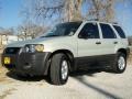 2005 Gold Ash Metallic Ford Escape XLT V6  photo #1