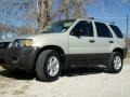 2005 Gold Ash Metallic Ford Escape XLT V6  photo #3