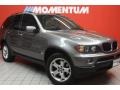 Sterling Grey Metallic - X5 3.0i Photo No. 1