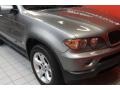 Sterling Grey Metallic - X5 3.0i Photo No. 13