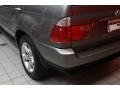 Sterling Grey Metallic - X5 3.0i Photo No. 19