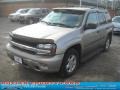 2003 Light Pewter Metallic Chevrolet TrailBlazer LS  photo #18