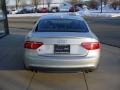 Ice Silver Metallic - S5 4.2 quattro Photo No. 4