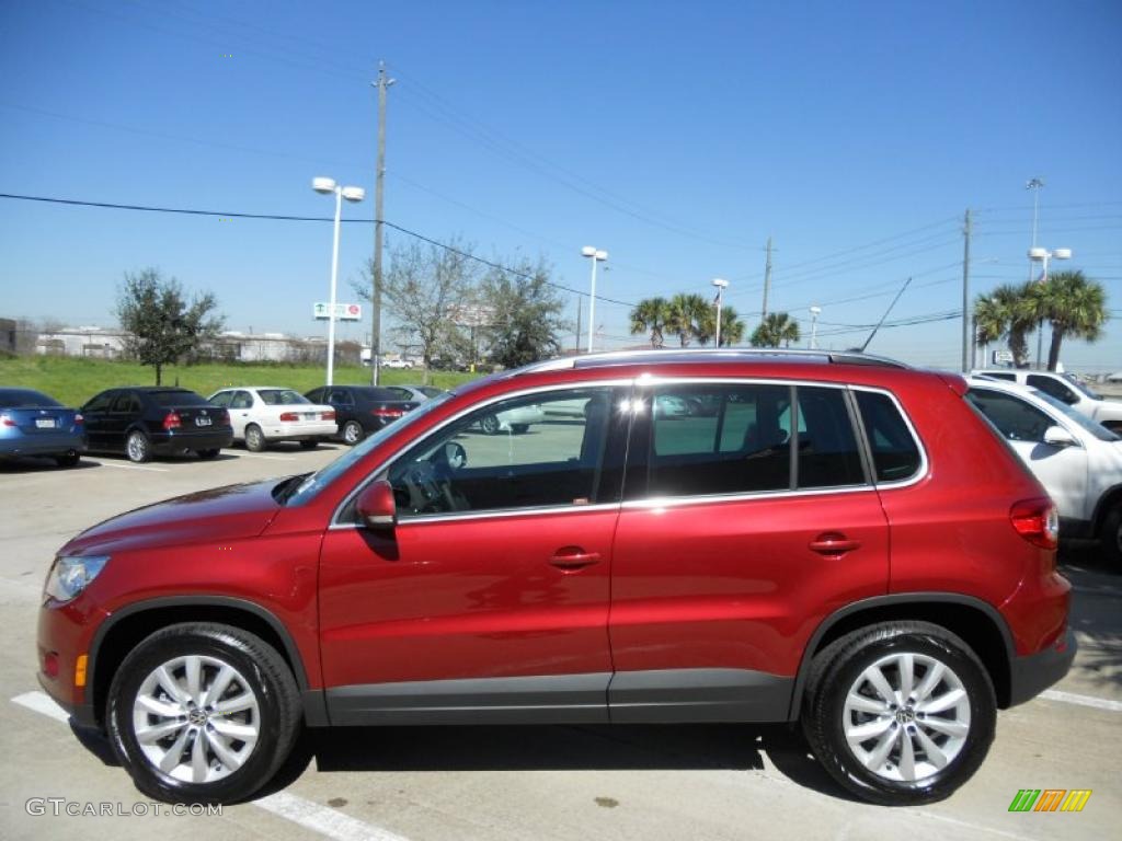 2011 Tiguan SE - Wild Cherry Metallic / Charcoal photo #4