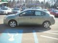 2008 Metallic Jade Green Nissan Sentra 2.0  photo #6