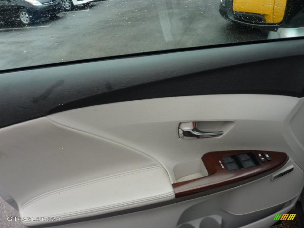 2010 Toyota Venza V6 AWD Gray Door Panel Photo #46136083