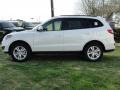 Frost White Pearl - Santa Fe SE Photo No. 6