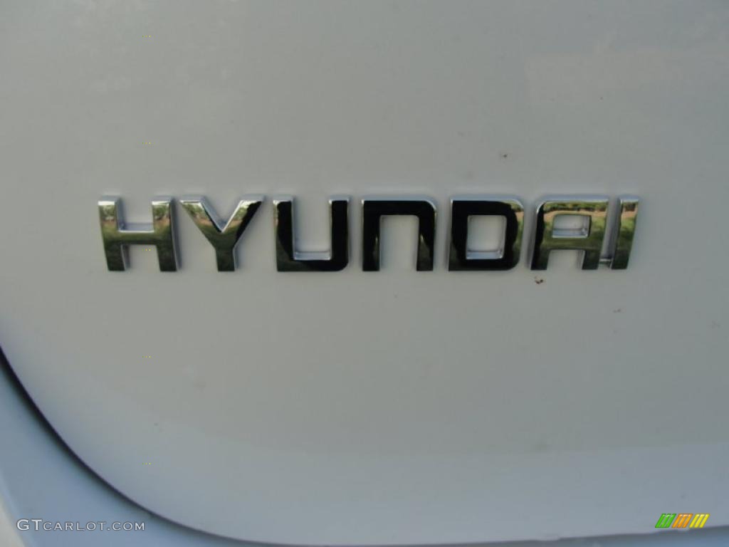 2011 Hyundai Santa Fe SE Marks and Logos Photo #46137670
