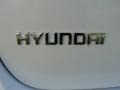 2011 Hyundai Santa Fe SE Marks and Logos