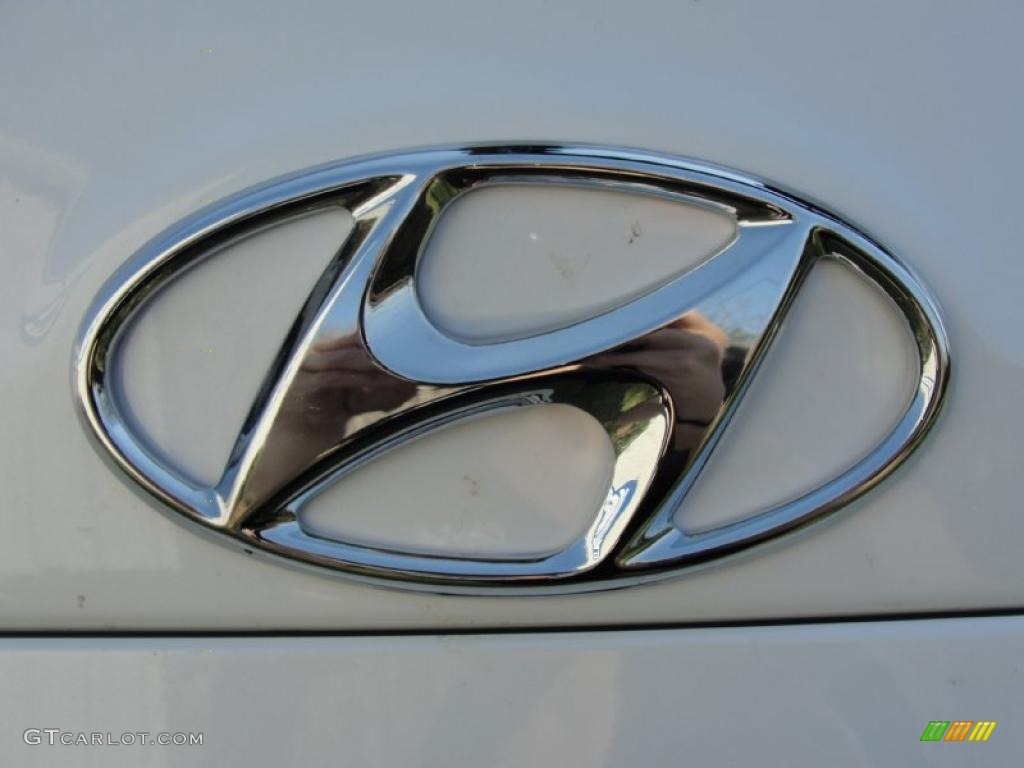 2011 Hyundai Santa Fe SE Marks and Logos Photo #46137676