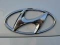 2011 Hyundai Santa Fe SE Marks and Logos