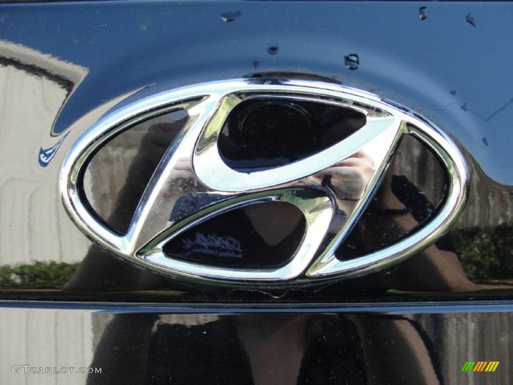 2011 Hyundai Santa Fe SE Marks and Logos Photo #46137997