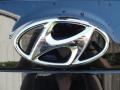 2011 Hyundai Santa Fe SE Marks and Logos