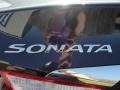 2011 Pacific Blue Pearl Hyundai Sonata GLS  photo #16