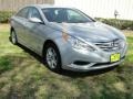 Radiant Silver - Sonata GLS Photo No. 1
