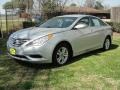 Radiant Silver - Sonata GLS Photo No. 7