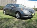 Radiant Silver - Sonata GLS Photo No. 38
