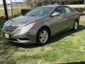 Radiant Silver - Sonata GLS Photo No. 44