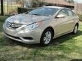 2011 Camel Pearl Hyundai Sonata GLS  photo #7