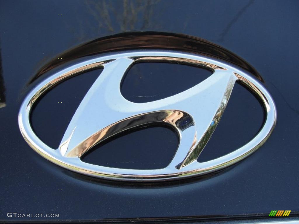 2011 Sonata GLS - Midnight Black / Camel photo #16