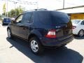 Capri Blue Metallic - ML 320 4Matic Photo No. 4