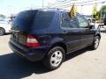 Capri Blue Metallic - ML 320 4Matic Photo No. 6