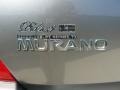 2005 Platinum Metallic Nissan Murano SL  photo #19