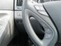 Iridescent Silver Blue Metallic - Sonata GLS Photo No. 12