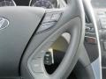 Iridescent Silver Blue Metallic - Sonata GLS Photo No. 13
