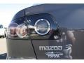 2009 Galaxy Gray Mica Mazda MAZDA3 i Touring Sedan  photo #27