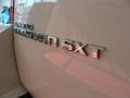 Stone White - Grand Caravan SXT Photo No. 7
