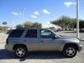 2008 Graystone Metallic Chevrolet TrailBlazer LT  photo #13